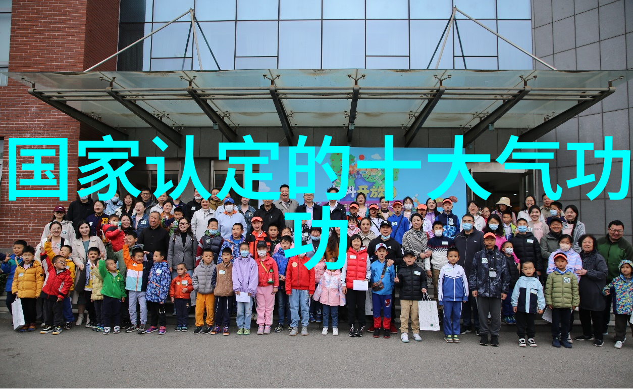 武功秘籍网陈式太极拳技击之声东击西张杰刘淑君在自然中展现内力与智慧