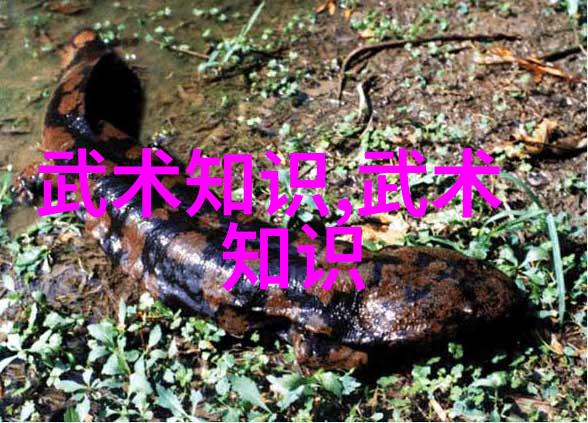 武林资讯研究探索内功外化与剑术发展的历史演变