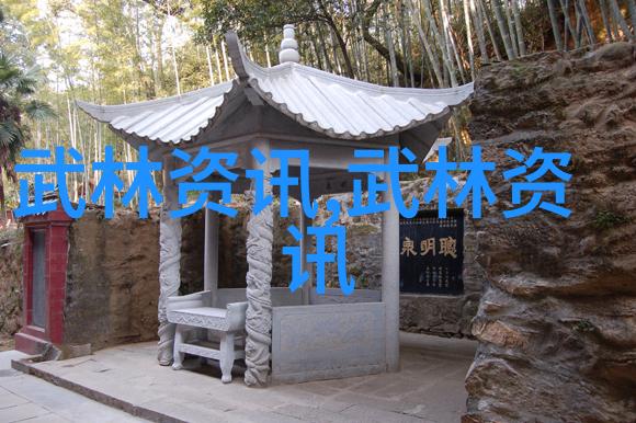 孙中华教授简化24式太极拳分解教学展现前膝不动的稳健姿态