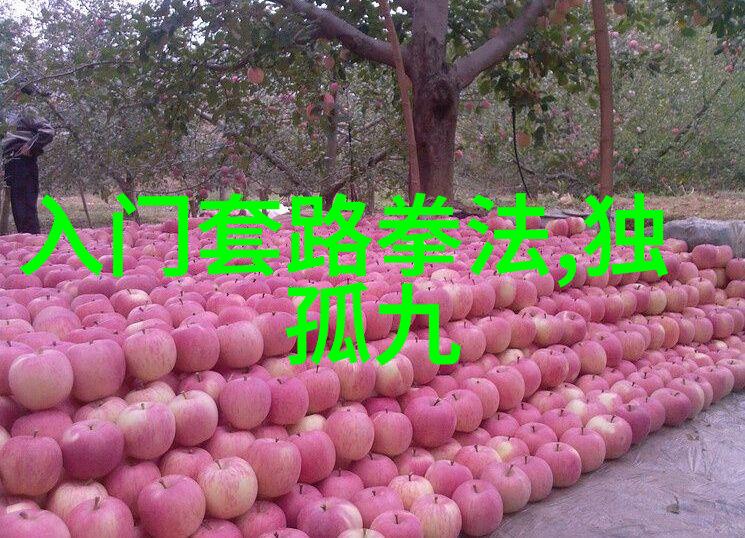 李和生在自然之中体会内功武林秘籍招式大全带图助力提升