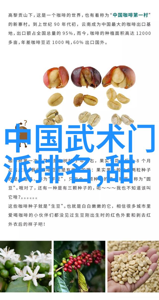 武林16大门派秘录江湖风云与隐世奇缘