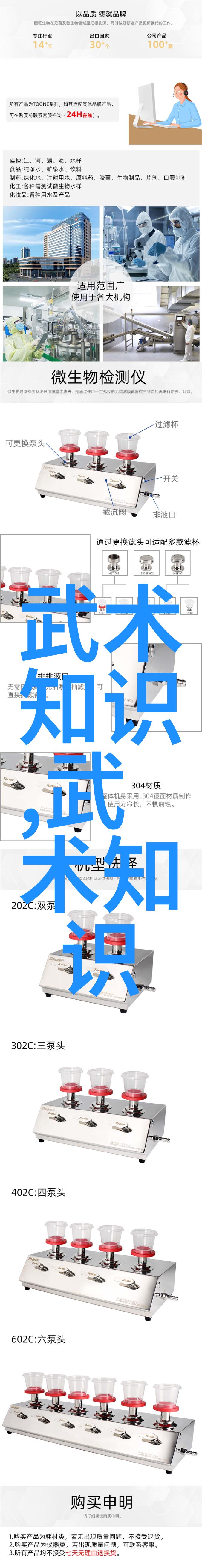 响亮霸气的帮派名字门派拳种仿佛是一位武术大师以其坚定而不屈的姿态在江湖中立足