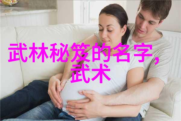 揭秘太极拳武功名称大全解析其精髓组成