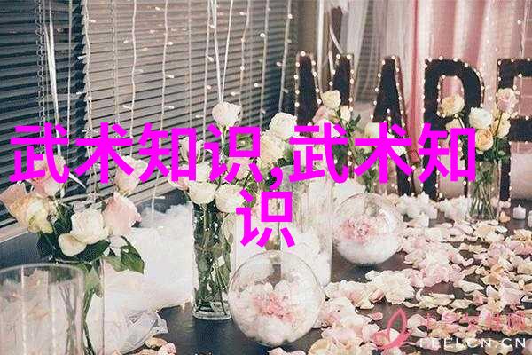 揭秘内功外化会武术人的日常训练与风险管理