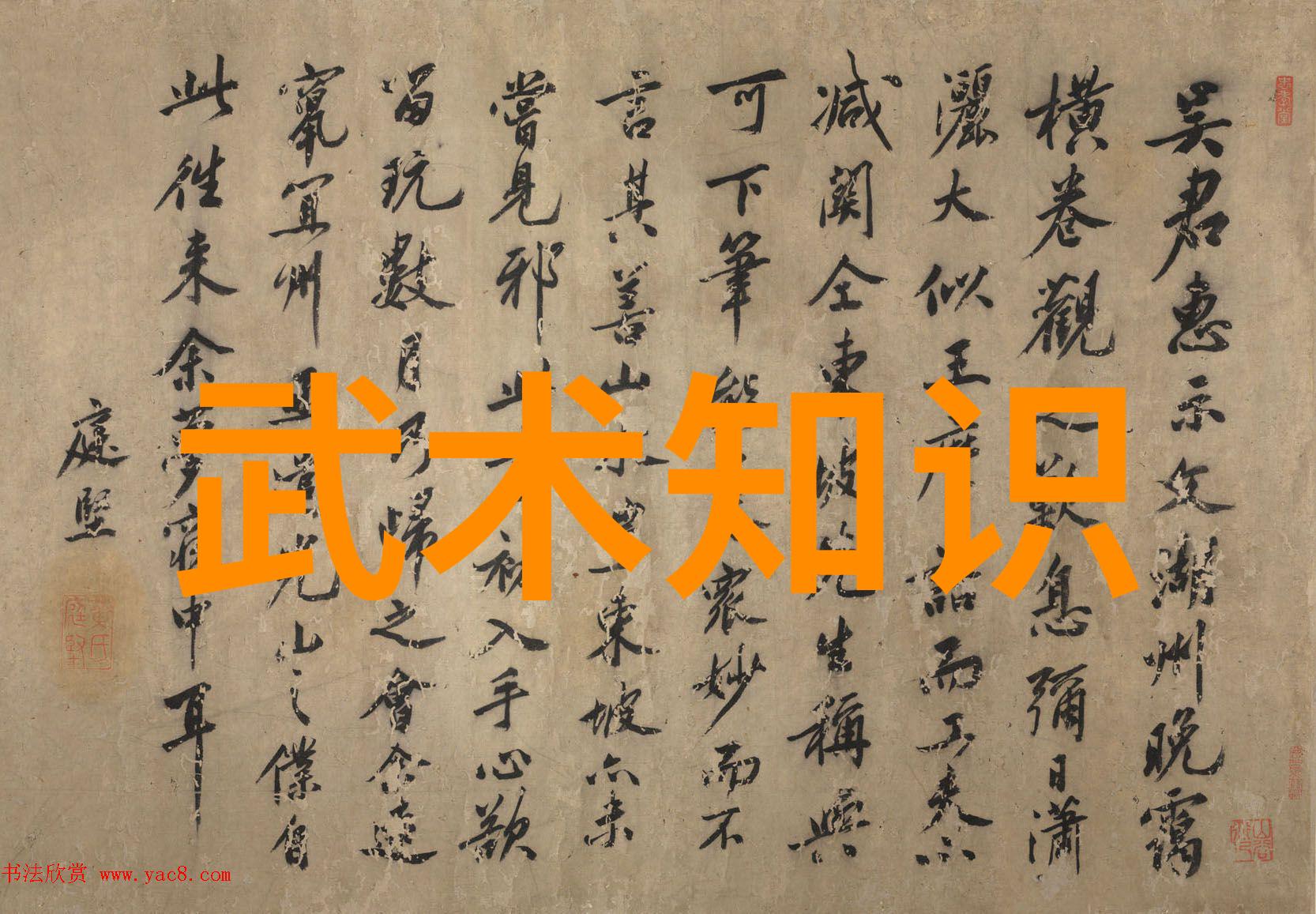 中国武术中的极致力量揭秘最凶狠的拳种