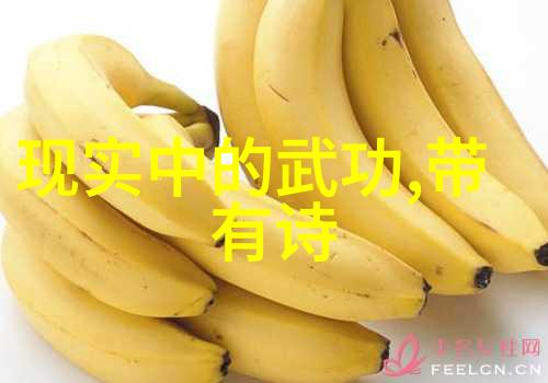 武侠秘籍-六字成仙解密古今武林绝技