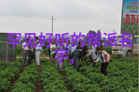 太极拳学习系统48式太极拳全套视频教学带口令