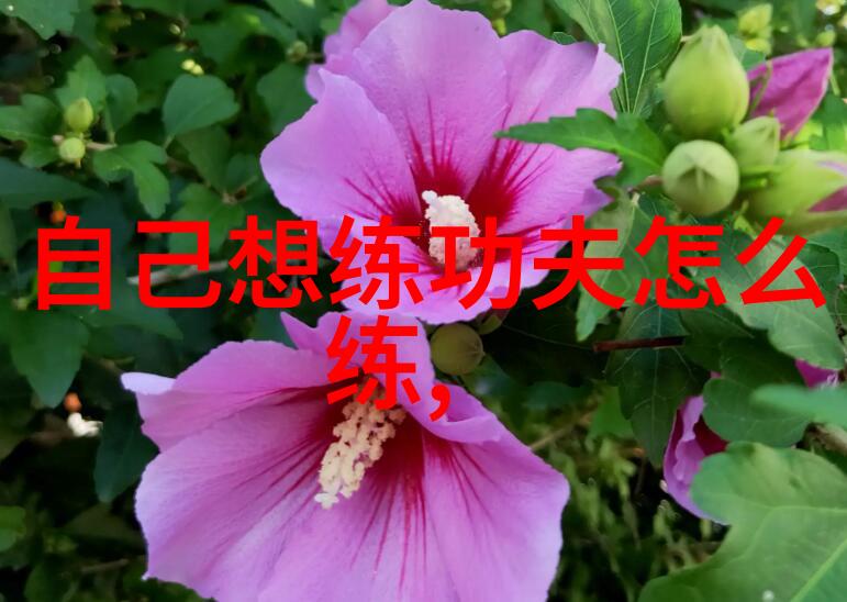 古风帮派三皇炮锤拳游戏中唯美人物独尊门派拳种
