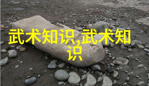 太极拳24式每一式图解视频 - 掌握传统太极武功精髓的全方位学习指南