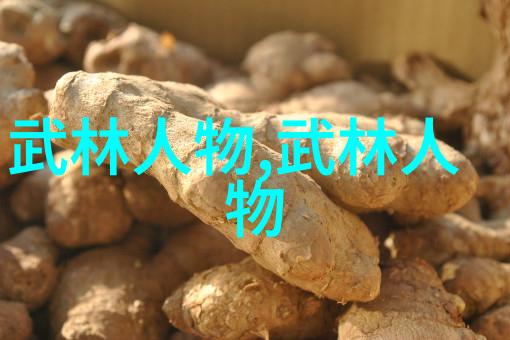 水遁秘笈武功秘籍中的水元素操控