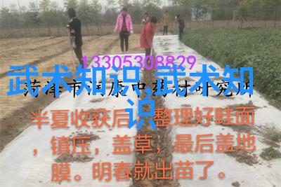 无极拳门派拳种如同玄幻小说中的宗门势力不仅武功高强更是文化传承的象征
