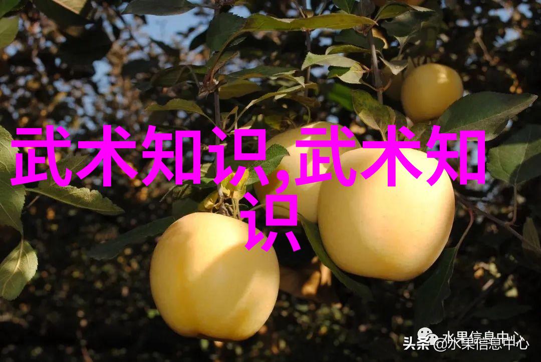 武术的12个基本动作拳法脚法体势