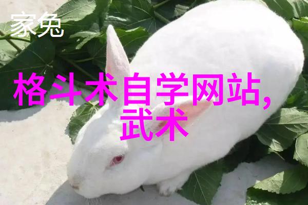 现代门派探索流变中的风格与信仰
