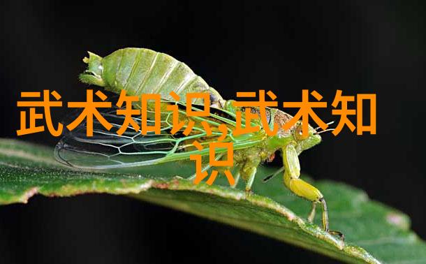 关于五行拳的诞生和演变有哪些未被普及的事实吗