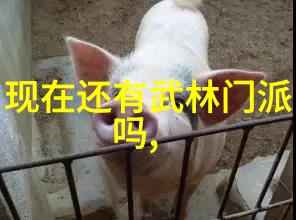 康比特i健身应用引领自然之旅助力肾病饮食管理