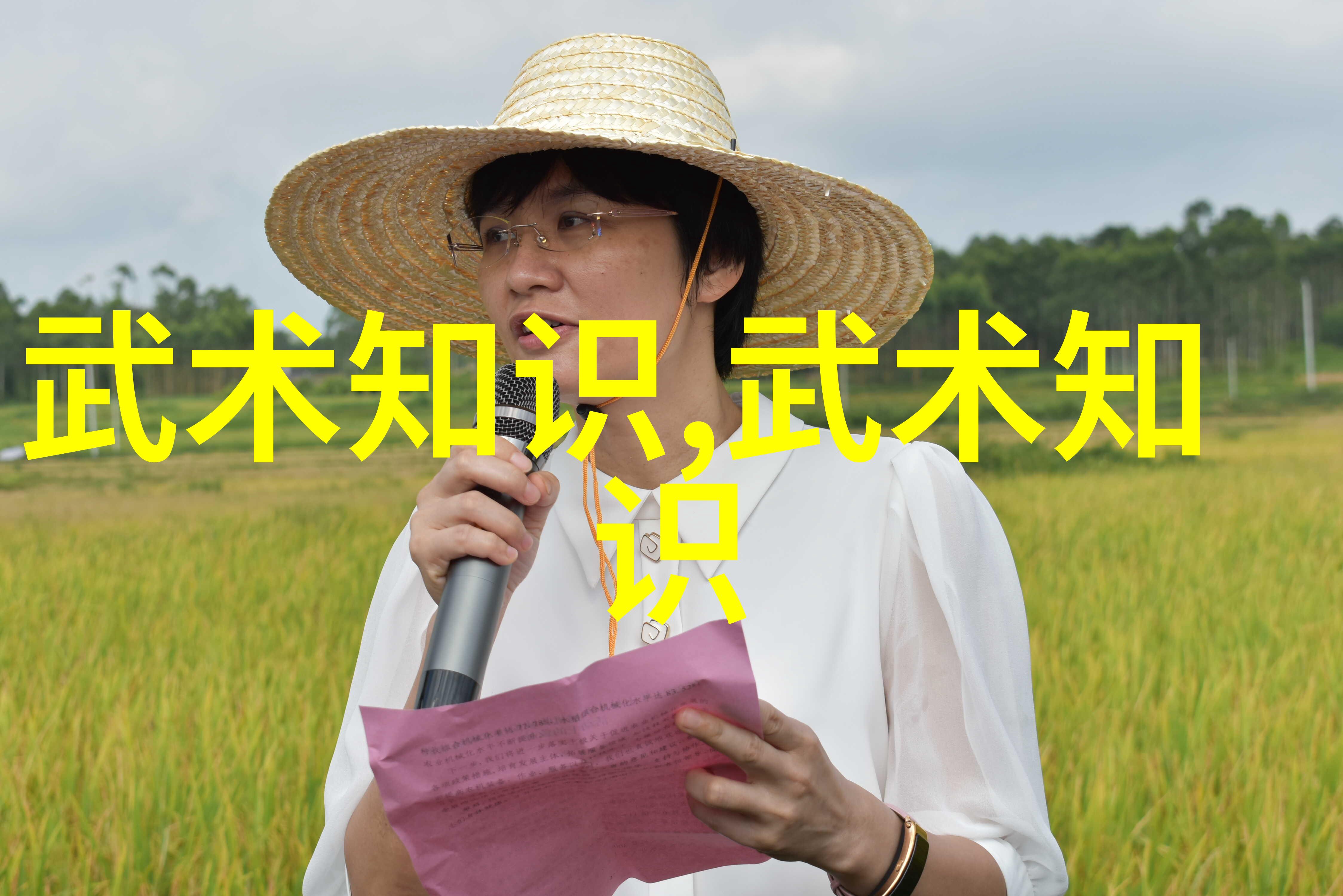 徒手格斗技术详解从击倒到控制掌握实战技巧