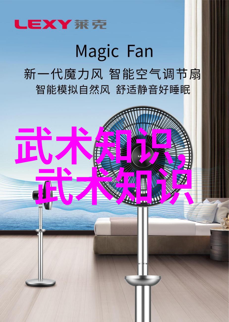 拳破云霄从柔情到刚毅的十六招式探秘