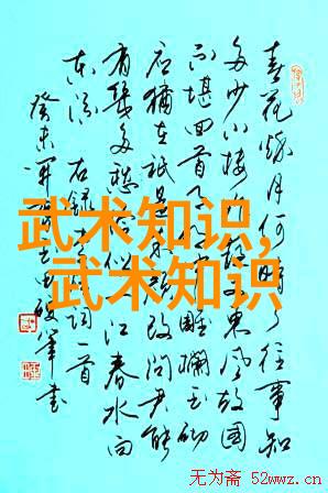 拳击视频揭秘纳西姆-哈麦德的战斗智慧