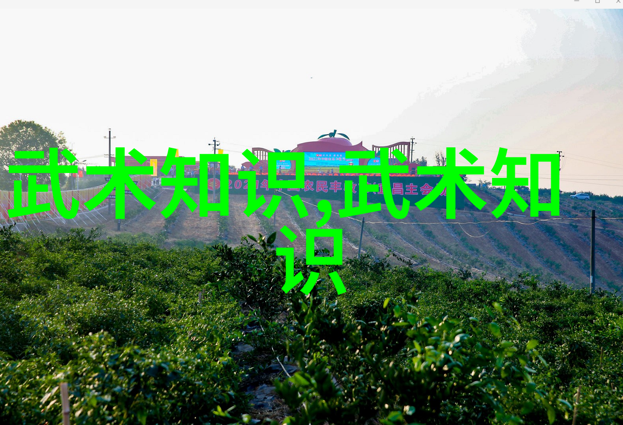 遥望星辰隐秘的宗门之巅