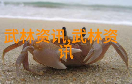 咏春拳法在现代社会中仍有哪些实际应用价值