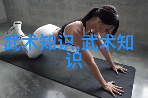 中国拳法之旅探索中华武术的丰富多彩