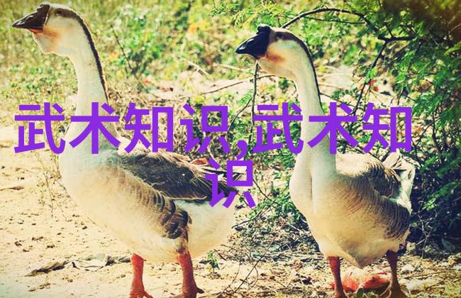 武术万维网探索古今中外武学奥秘的平台
