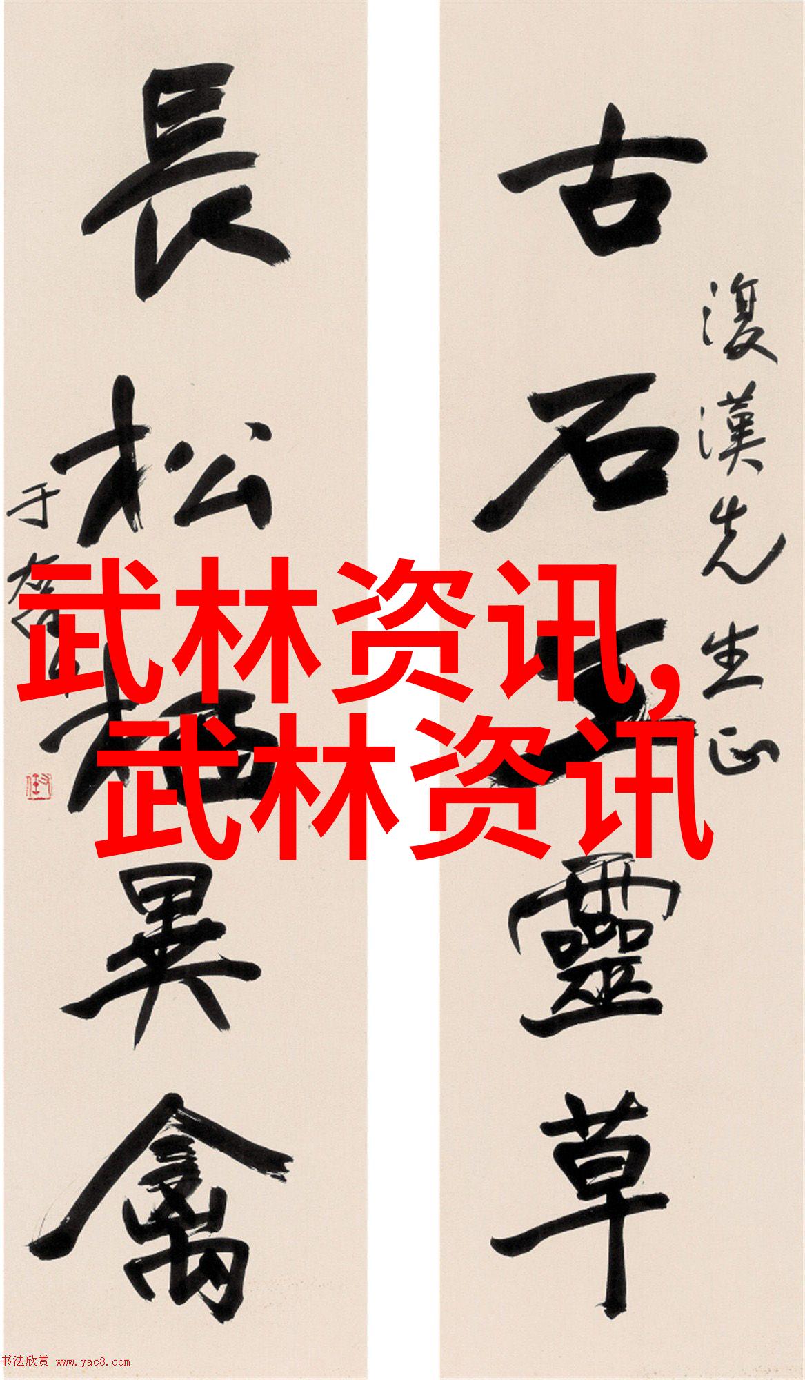 武术资料网左脚尖舞动手挥琵琶奏响高级武功