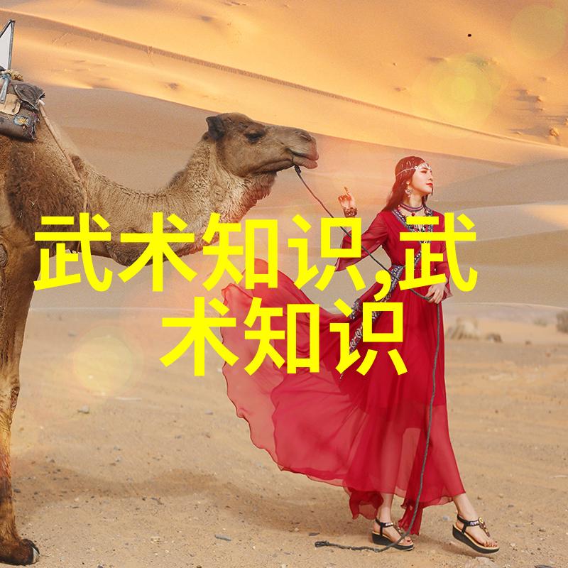 沉默的铁拳少林深藏的绝技