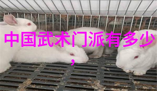 在历史上有没有过在江苏一带发生的大规模武林大会或竞赛活动