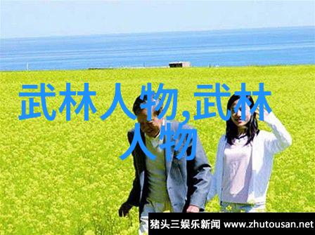 武术教育-悟空功夫秘籍揭秘传统武学的奥义