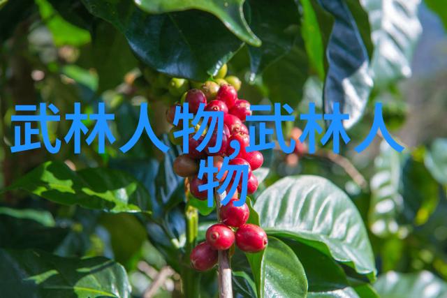 中国武术流派大汇总从打虎到舞剑揭秘古老艺术的幽默面
