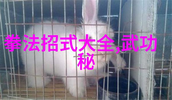 揭秘高校奇专业学户外运动 挑战世界高峰