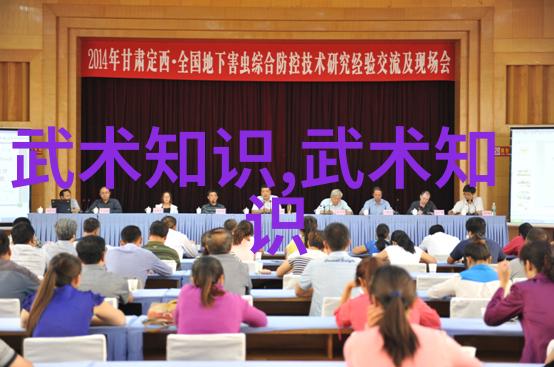 中国十大剑法的古韵流传