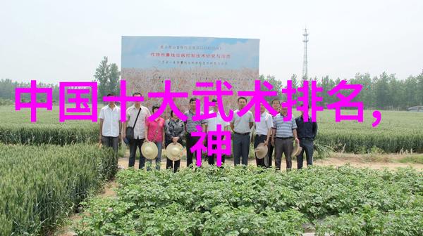 医用泡沫轴它到底能做什么怎么不小心就成了治愈的法宝