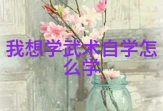 老武术书籍中的秘密王守东的网络探寻与太极拳的正确习练之谜