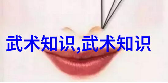 古老的拳谱探秘武术之道