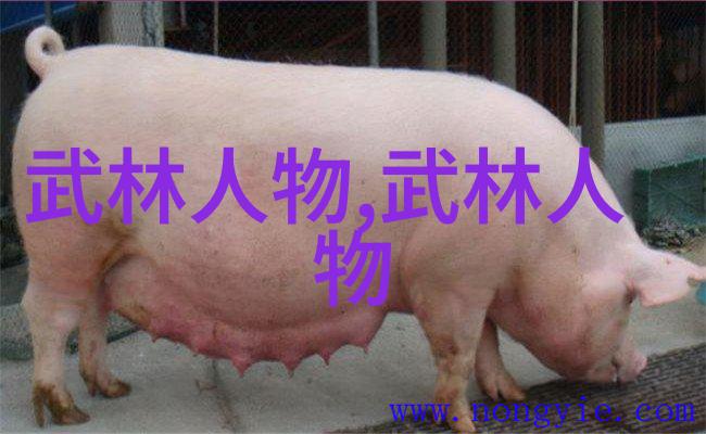 隐匿在数字世界中的武术禁地网站揭秘