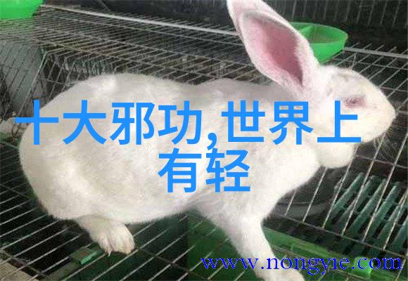 大一下学期计划血糖高的健身者该如何调理饮食快来看看
