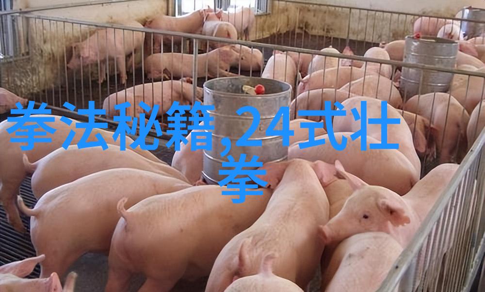 社会热议贝克汉姆支持中国女足对抗英格兰中国竞彩足球官网首页关注度激增