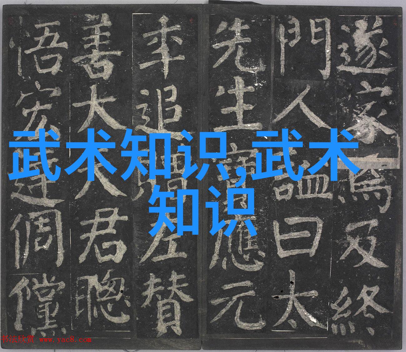 武林秘籍探寻中华武术全谱系