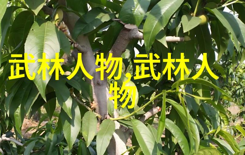 跟随四十式太极拳视频学习口令的简单方法