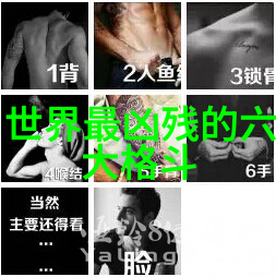 24式太极拳口令全套解析探索传统武术中的内在精髓与动作艺术