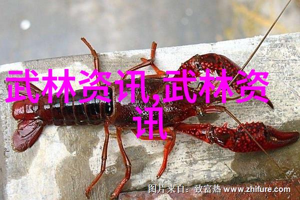 斗战神长安雅儿古风仙侠世界中的传奇少女