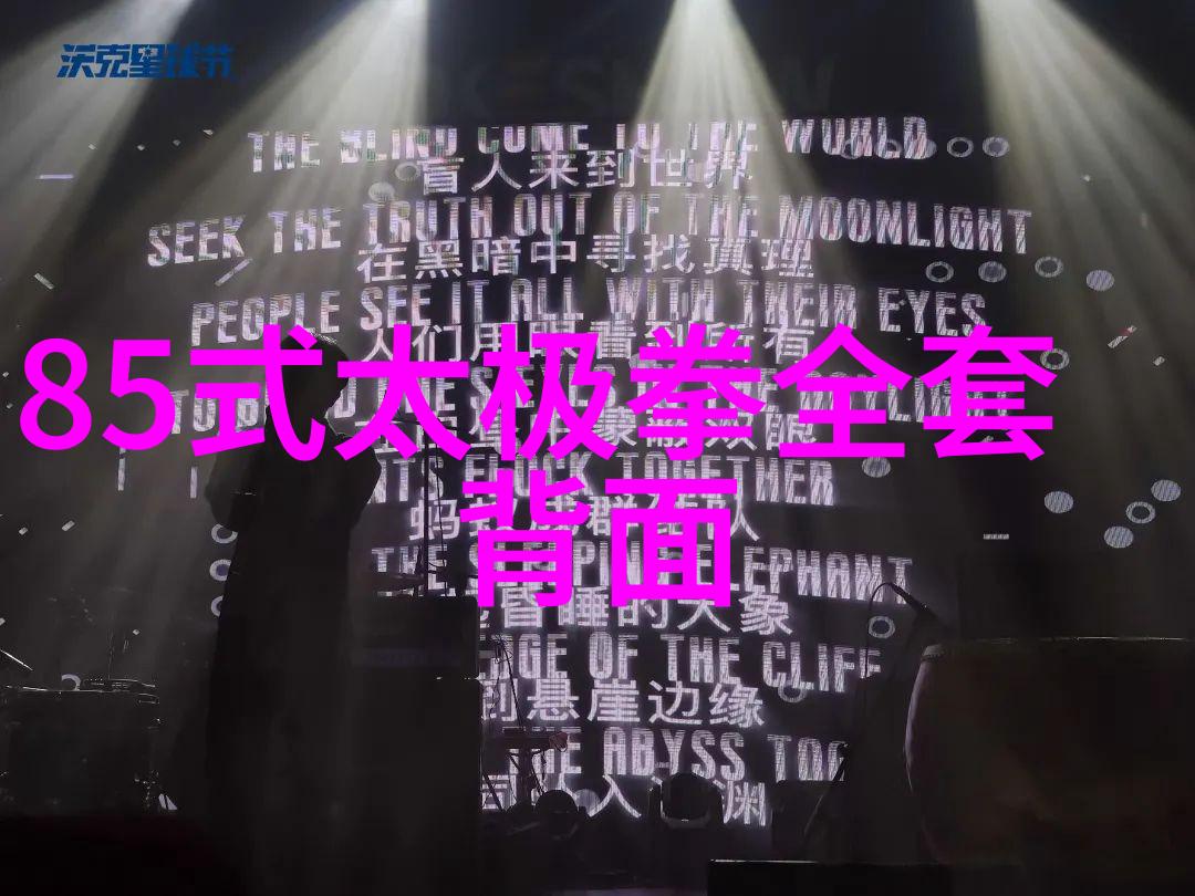 蔡金花许运平探讨太极拳中的松理揭秘武功秘籍大全招式拳法图解