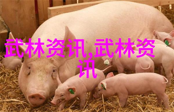 灵魂深处的回响解读那些能够唤起内心共鸣的顶级宗门名字