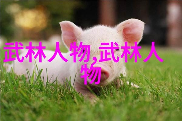 主动弹出武术修炼境界划分大全在社会的实践