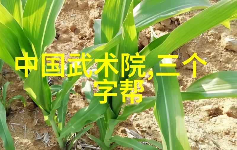 天籁盟主诠释仙盟的和谐