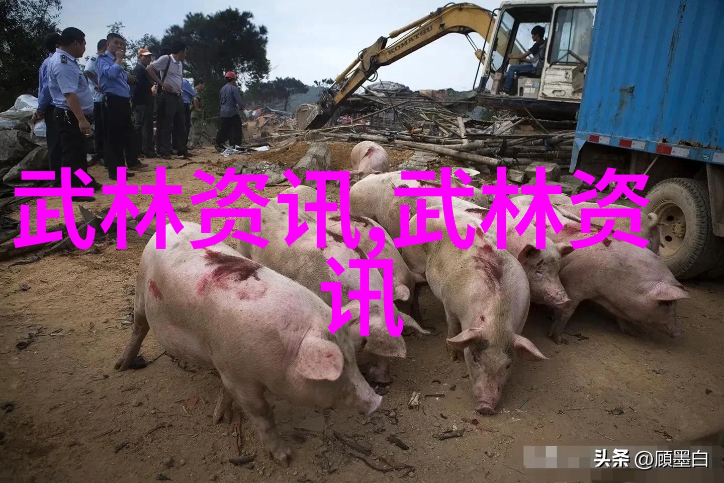 笑傲江湖中国功夫秘籍大全揭秘你我他都是哪路英雄