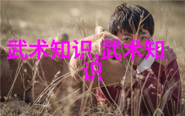 最新霸气军团名临清肘捶拳风如龙肘击如雷
