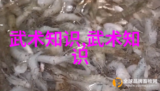 篮球世界杯cba季后赛规则细则2023解密